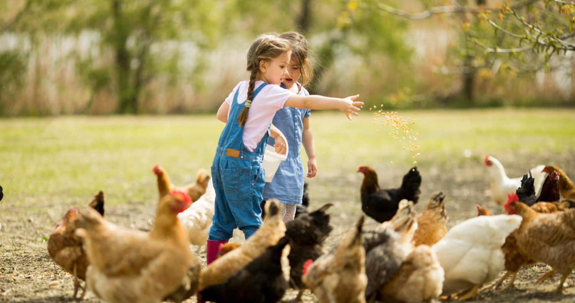 Agriturismo il Giardino