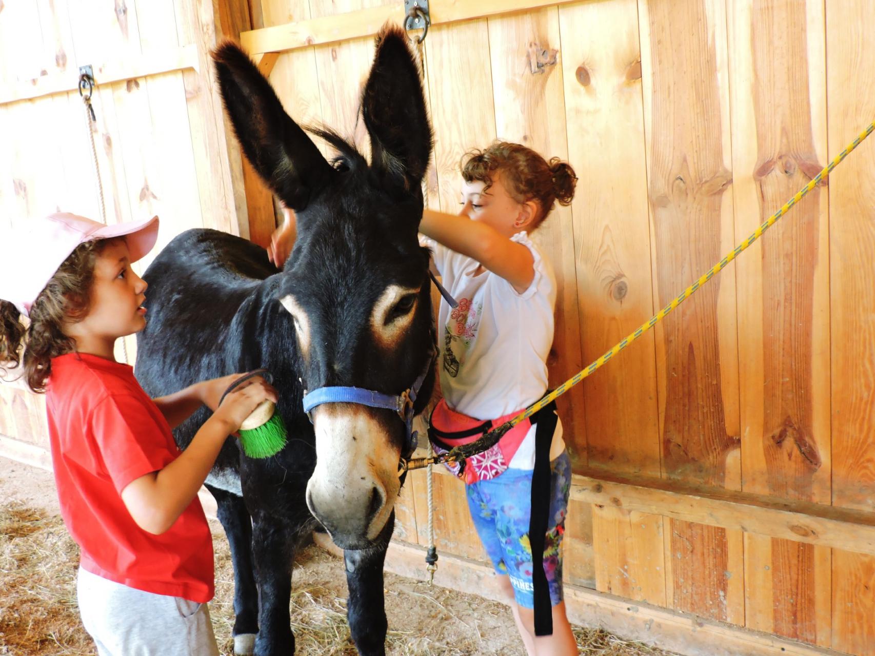 Agriturismo il Giardino