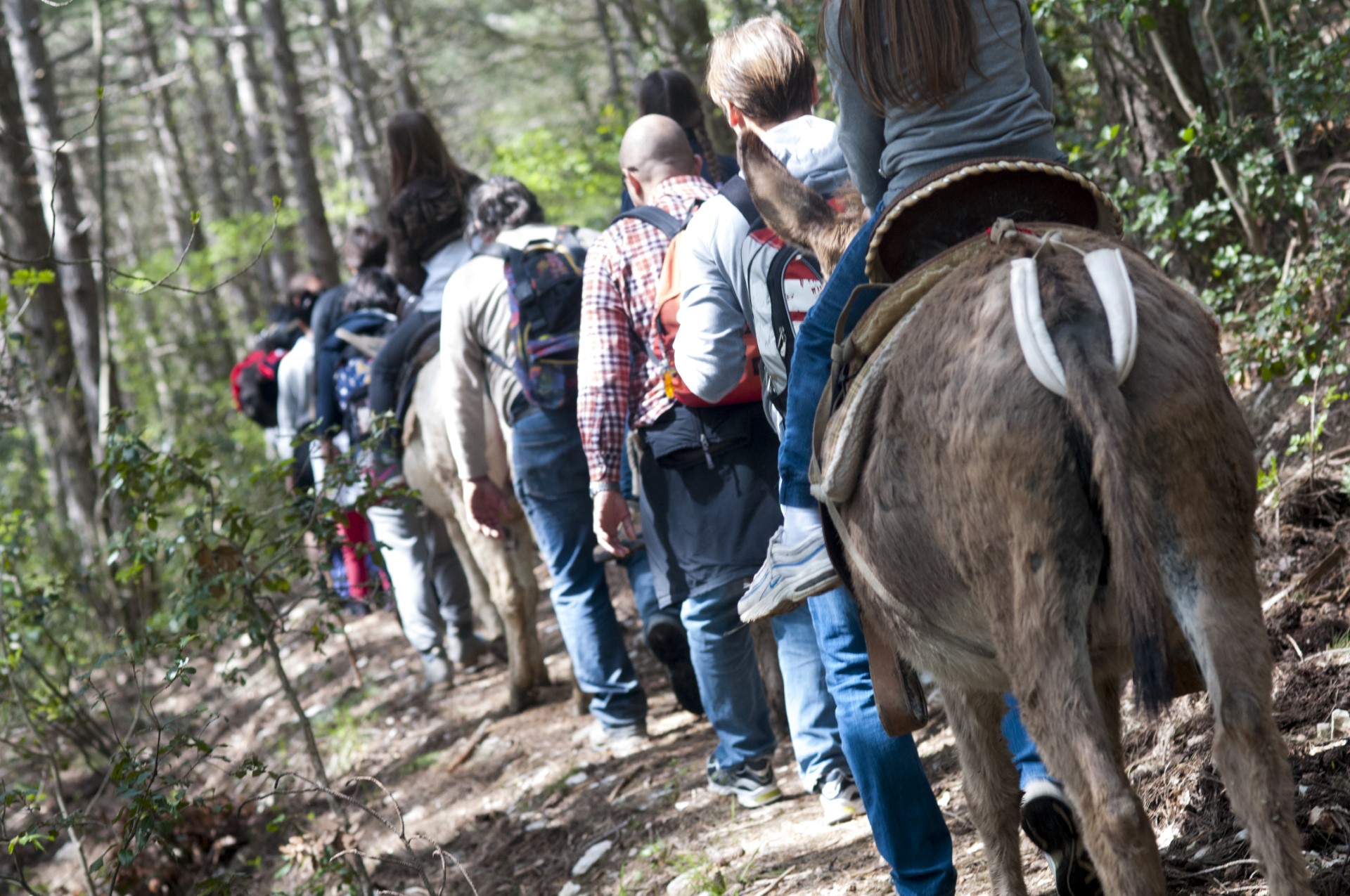 Agriturismo il Giardino